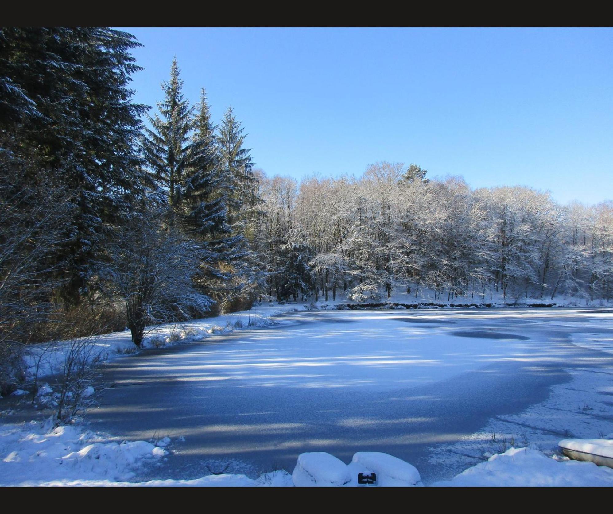 Cabane Limousine Au Bord D'Un Etang Bonnac-la-Côte Esterno foto